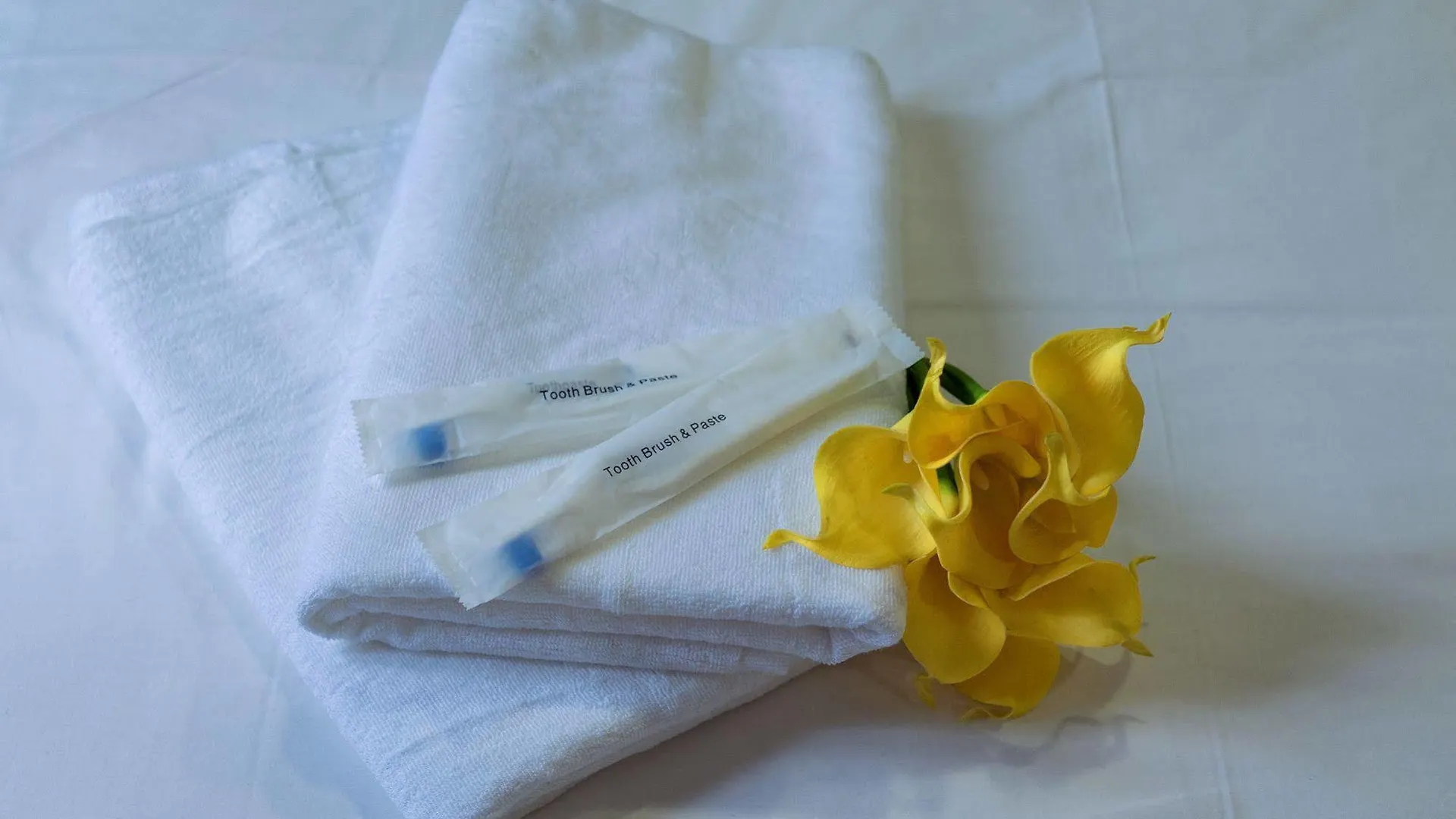 Lighthouse Hotel & Shortstay @ Damansara Uptown Petaling Jaya